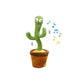 Dancing Cactus